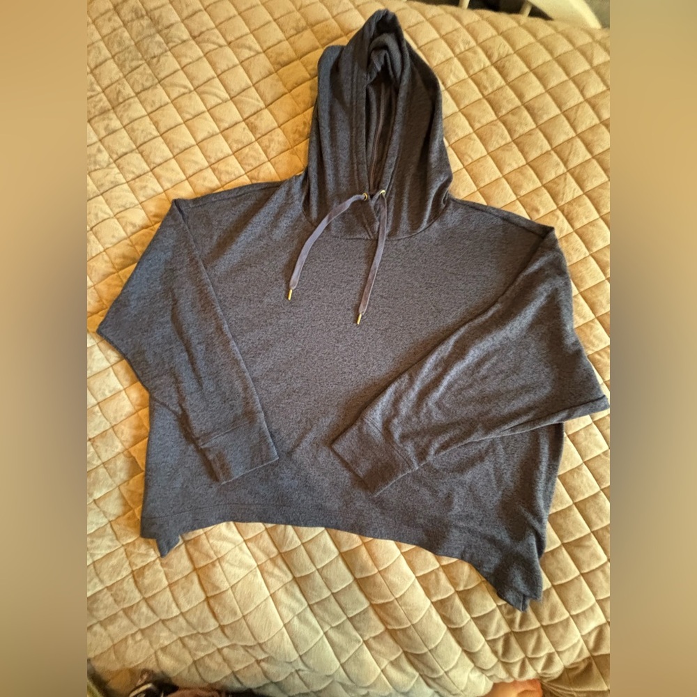 Blue Hooded Sweatshirt
